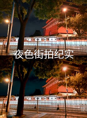 夜色街拍纪实LUT VN视频剪辑PictureProfile（PP1-PP6）AiPhone14