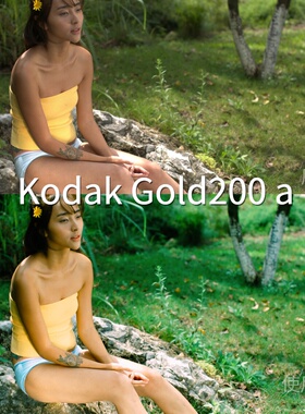 KodakGold200aLUT PictureProfile（PP1-PP6）ProPremieriPhone16