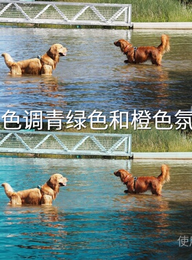暖色调青绿色和橙色氛围LUT 极影相机C-LogGP-Log固件1.20佳能EOS