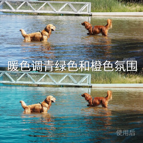 暖色调青绿色和橙色氛围LUT 极影相机C-LogGP-Log固件1.20佳能EOS