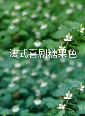 法式喜剧糖果色LUT O-LogGP-Log固件1.20Avata2D-LogMliit一加Ace
