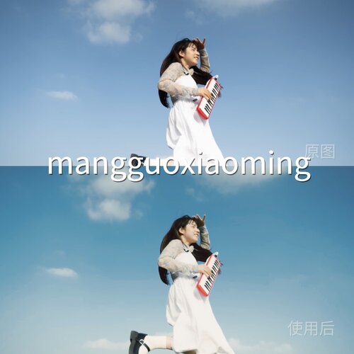 mangguoxiaomingLUT Pocket3D-LogMAction6D-LogMMagic-Lo索尼A7S