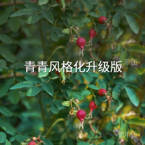 青青风格化升级版LUT mac无人机LogC3Log3G10FinalCutProC-LoOPPO