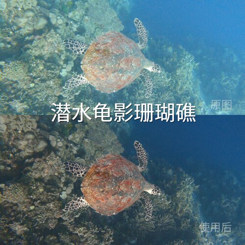 潜水龟影珊瑚礁LUT VN视频剪辑Pocket3D-LogM运动相机Air3华为P50