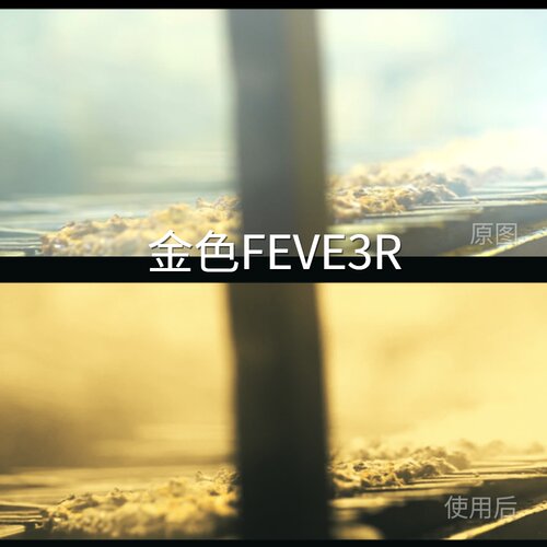 金色FEVE3RLUT iosProPremiereC-Log3CapCut达芬奇AppleLog尼康Z5