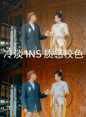 冷淡INS质感校色LUT N-LogO-Log平板剪映O-LogRec.709Gamm大疆Air
