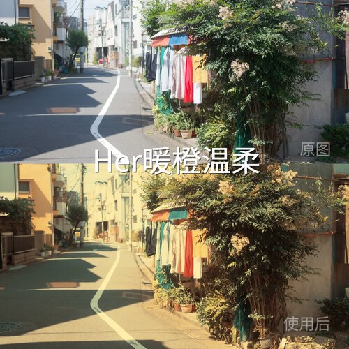Her暖橙温柔LUT AppleLogGalaxyLogI-LogX5系列S-Log3F-LogOsARRI