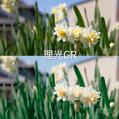 理光GRLUT D-LogM航拍极影相机GalaxyLog平板winF-LogVN视xiaomi