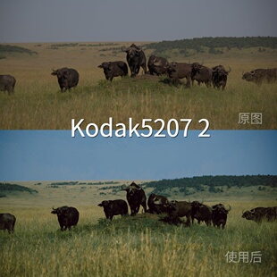Kodak52072LUT PRDaVinciResolveMi-Log极影相机AppleLogGP佳能R5