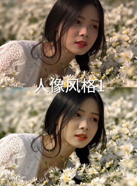 人像风格1LUT LogC4DaVinciResolveAEmacLogC3I-LogAcePro2X100V