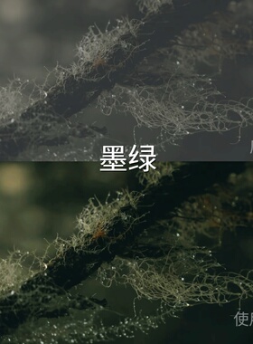 墨绿LUT ios运动相机GP-Log固件1.20Avata2D-LogMN-Logc‌iQOONeo