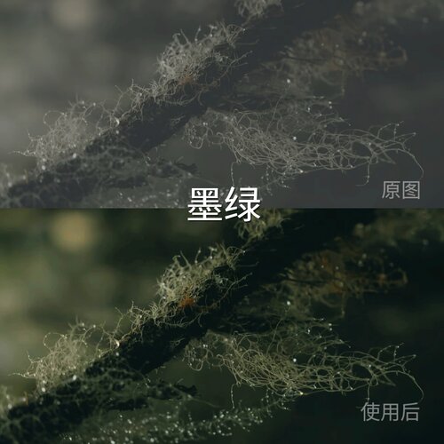 墨绿LUT ios运动相机GP-Log固件1.20Avata2D-LogMN-Logc‌iQOONeo