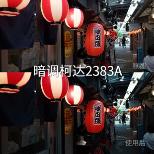 暗调柯达2383ALUT 平板达芬奇Air3D-LogMC-Log2O-LogPocket佳能R7