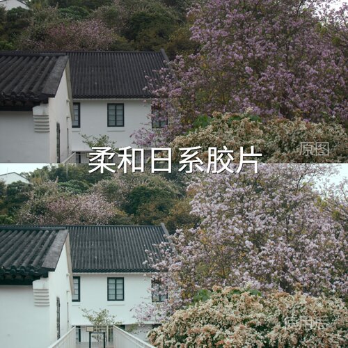 柔和日系胶片LUT D-LogMAppleLog2V-LogMi-LogvivoLogC-Log3Canon