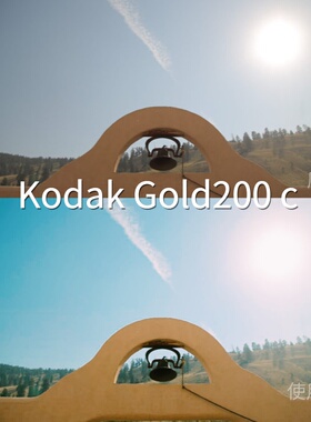 KodakGold200cLUT REDLogFilmO-LogiosPRC-Log2安卓Blackmagvivos