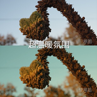 超温暖氛围LUT LogRec.709Gamma2.4LogC3N LogFCPXGP Logvivos