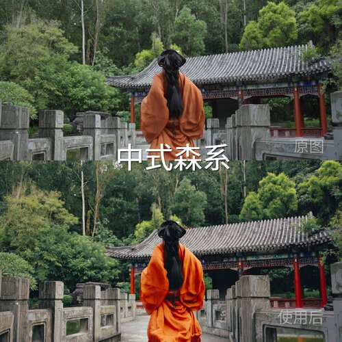 中式森系LUT 电脑I-LogAcePro2系列C-Log运动相机手机F-L索尼ZVE1
