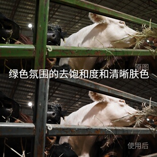 绿色氛围 平板iosAppleLogHL‌GalaxyTab 去饱和度和清晰肤色LUT