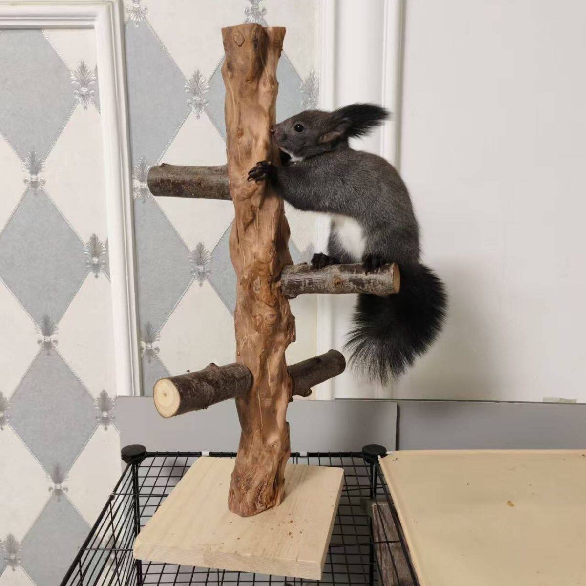 魔王松鼠木攀爬树桩苹果枝磨牙仓鼠玩具跳台爬梯金丝熊造景啃咬