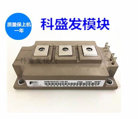 2MBI300VD-120-50 2MBI400VD-060-50 2MBI600VD-060-50 4MBI300VG