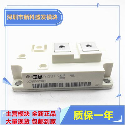 直拍 全新DZ800S17KE3