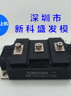 MG300Q2YS40 MG300Q2YS45 MG300Q2YS50