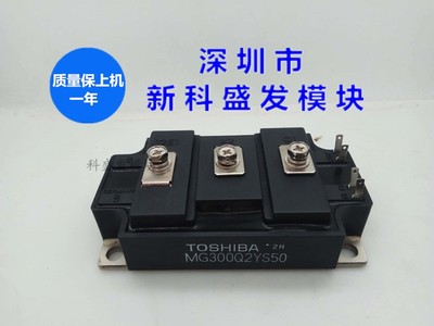 MG300Q2YS40 MG300Q2YS45 MG300Q2YS50