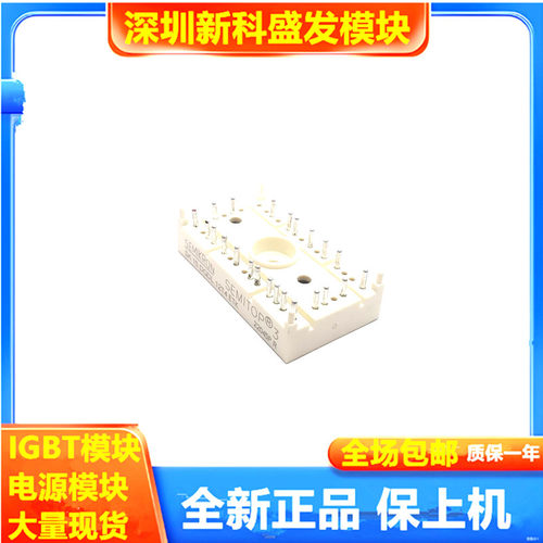 直拍SK10DGDL126ET SK15DGDL126ET SK15DGDL12T4ETK