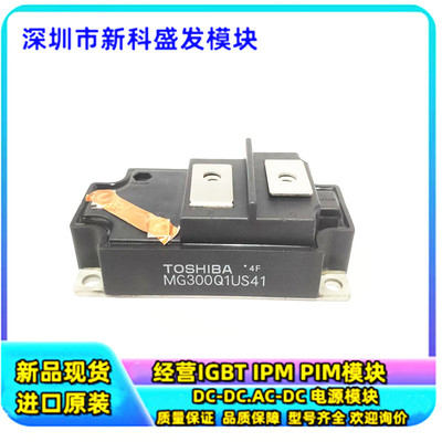 全新原装MG300Q1US41模块