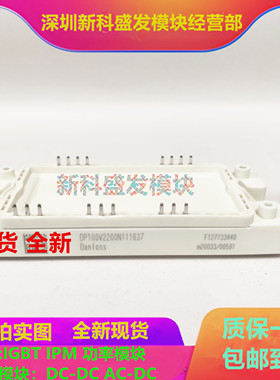 直拍 全新DP100V2200N111637   DP100K1700T101780