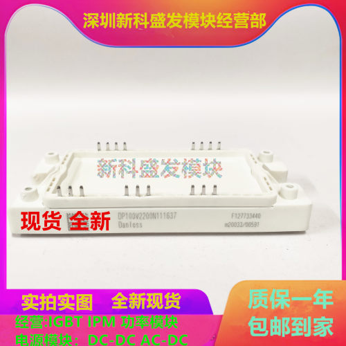 直拍DP100V2200N111637模块