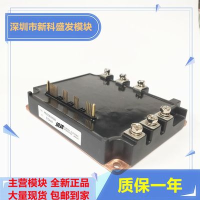 直拍 全新PM300RSD060 PM200RSD060