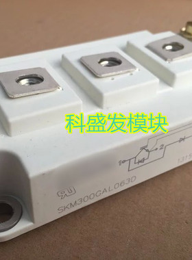 SKM300GAL063D SKM200GAL063D SKM195GAL063D SKM75GAL063D 正品