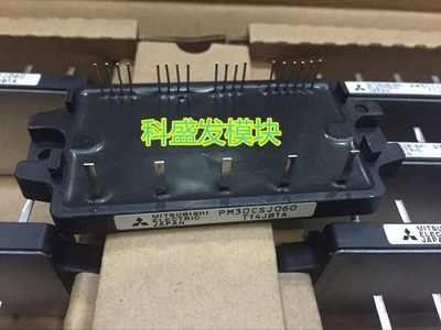 全新正品现货PM30CSJ060
