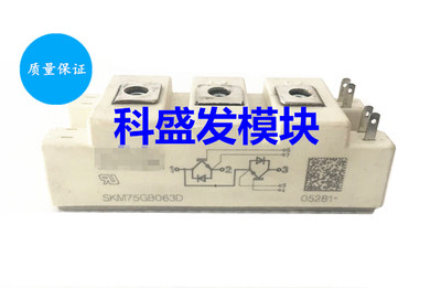 SKM50GB063D SKM75GB063D SKM100GB063D 品质保证 欢迎采购