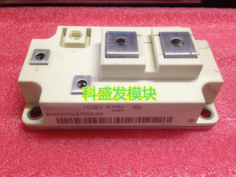 BSM300GA170DN2