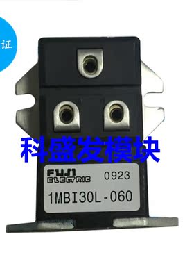 1MBI50L-060 1MBI30L-060 1MBI75L-060 1MBI100L-060