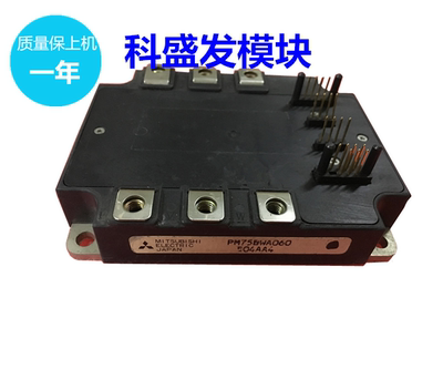 PM75BWA060 PM100BWA060 PM150BWA060 PM50BWA060品质保证 保上机