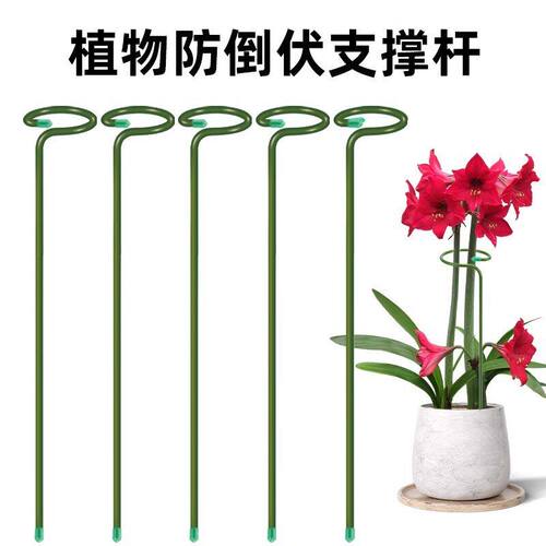 植物支撑杆朱顶红花卉园艺防倒扶支架插花固定神器植物枝条固定杆