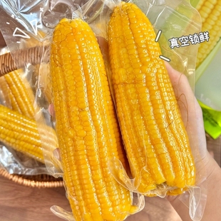 新货张家口黄糯玉米喜阿福富硒糯玉米8根/袋新鲜糯甜早餐低脂粗粮