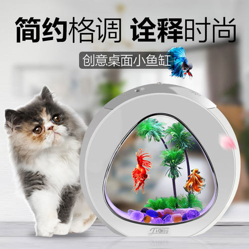 小型创意桌面鱼缸森森