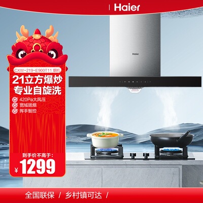 Haier/海尔 CXW-219-E900T11油烟机21大吸力420pa大风压挥手控制