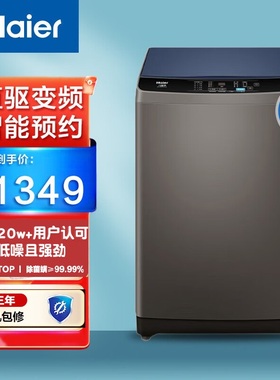 Haier/海尔 EB100B20Mate1全自动10公斤直驱除螨大容量波轮洗衣机