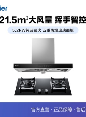 Haier/海尔 E900T23+Q2BE5 烟灶套装21.5大吸力油烟机5.2燃气灶