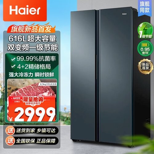 Haier/海尔 BCD-616WGHSSEDC9对开门冰箱升风冷无霜一级双变频