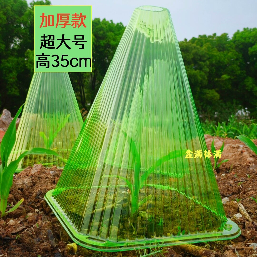 加厚塑料育苗保温罩35cm通用
