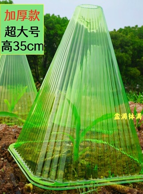 高35cm超大号加厚款植物保温罩塑料绿色大棚种植通用型育苗防护罩