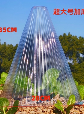 2835cm超大号透明锥形保温罩加厚款园艺防护罩农用种植菜苗保护罩
