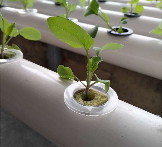 新阳台种菜机 壁挂式管道水培蔬菜无土栽培设备自动水耕多层种销
