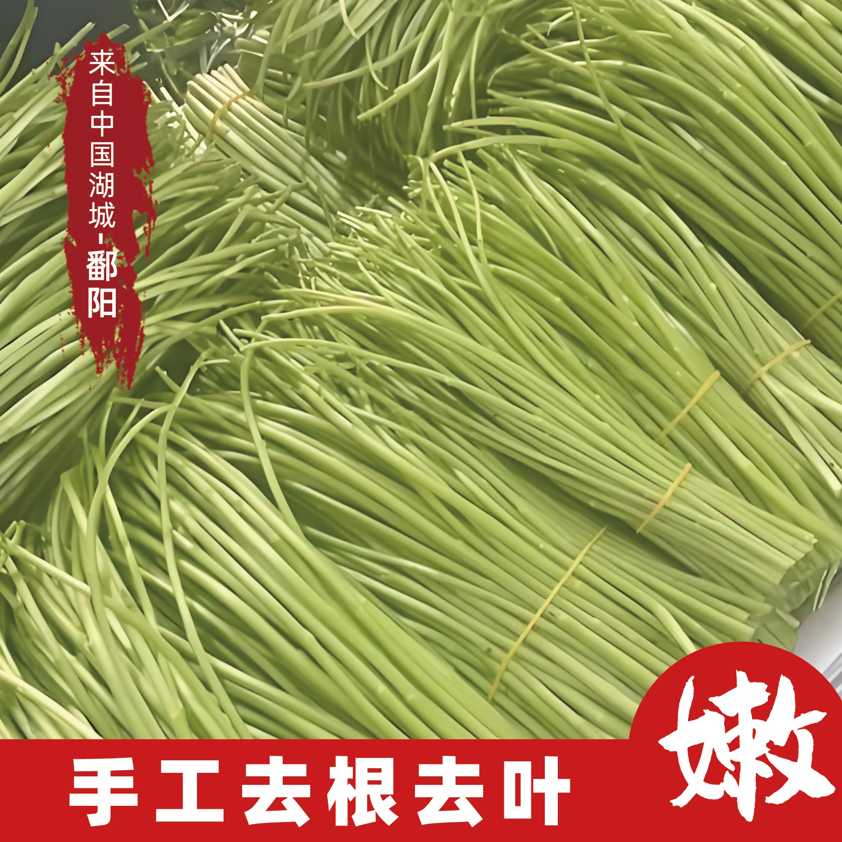 江西特产鄱阳湖新鲜藜蒿现摘去叶叶菜类